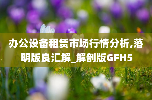 办公设备租赁市场行情分析,落明版良汇解_解剖版GFH5