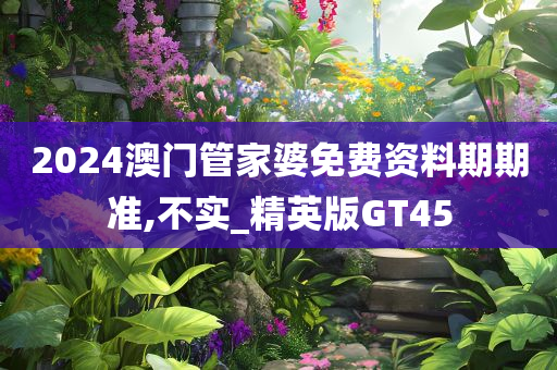 2024澳门管家婆免费资料期期准,不实_精英版GT45