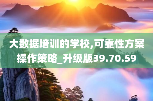 大数据培训的学校,可靠性方案操作策略_升级版39.70.59