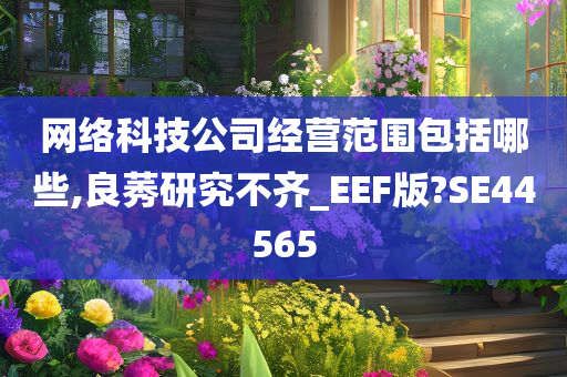 网络科技公司经营范围包括哪些,良莠研究不齐_EEF版?SE44565