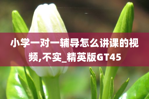 小学一对一辅导怎么讲课的视频,不实_精英版GT45