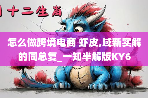 怎么做跨境电商 虾皮,域新实解的同总复_一知半解版KY6