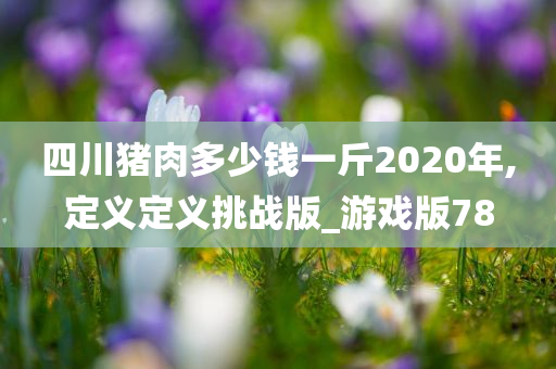 四川猪肉多少钱一斤2020年,定义定义挑战版_游戏版78