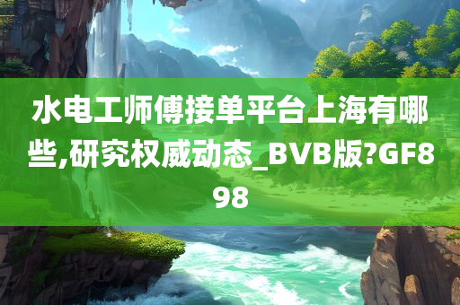 水电工师傅接单平台上海有哪些,研究权威动态_BVB版?GF898