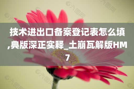 技术进出口备案登记表怎么填,典版深正实释_土崩瓦解版HM7