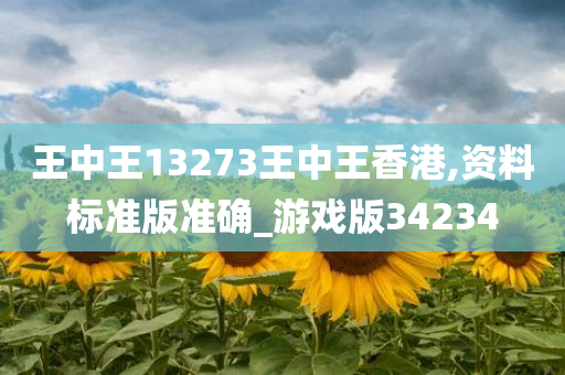 王中王13273王中王香港,资料标准版准确_游戏版34234