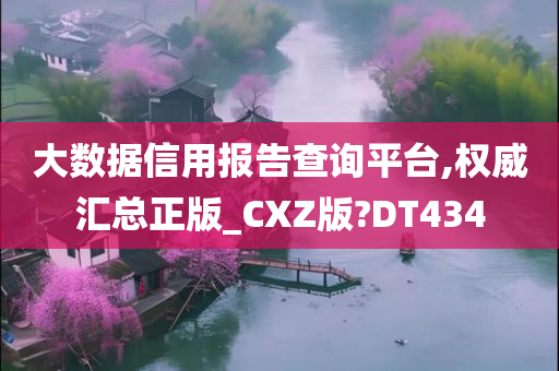 大数据信用报告查询平台,权威汇总正版_CXZ版?DT434