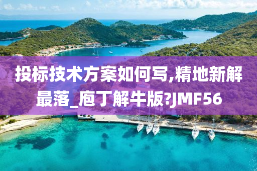 投标技术方案如何写,精地新解最落_庖丁解牛版?JMF56