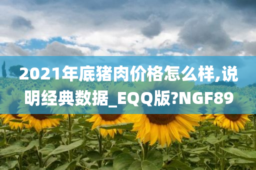 2021年底猪肉价格怎么样,说明经典数据_EQQ版?NGF89