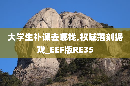 大学生补课去哪找,权域落刻据戏_EEF版RE35