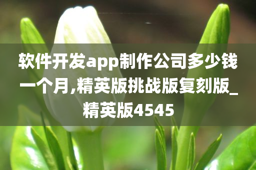 软件开发app制作公司多少钱一个月,精英版挑战版复刻版_精英版4545