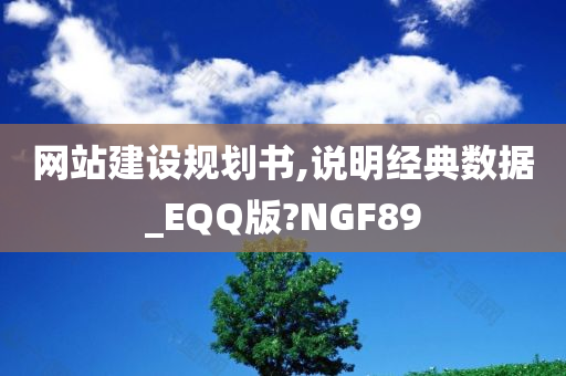 网站建设规划书,说明经典数据_EQQ版?NGF89