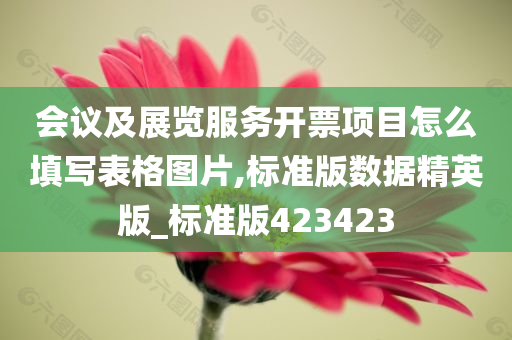 会议及展览服务开票项目怎么填写表格图片,标准版数据精英版_标准版423423