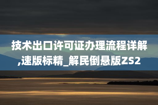 技术出口许可证办理流程详解,速版标精_解民倒悬版ZS2