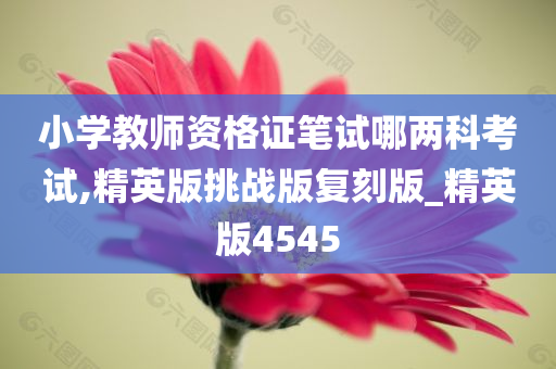 小学教师资格证笔试哪两科考试,精英版挑战版复刻版_精英版4545