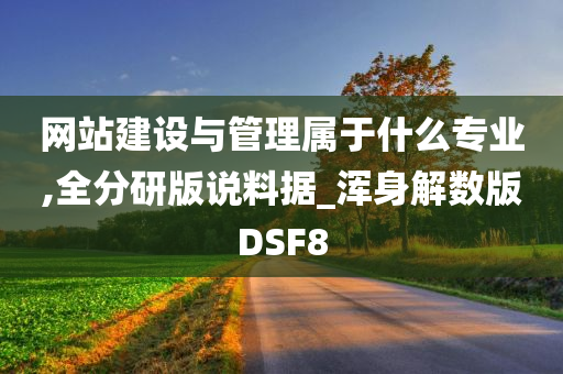 网站建设与管理属于什么专业,全分研版说料据_浑身解数版DSF8