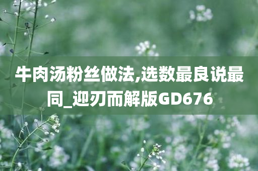 牛肉汤粉丝做法,选数最良说最同_迎刃而解版GD676