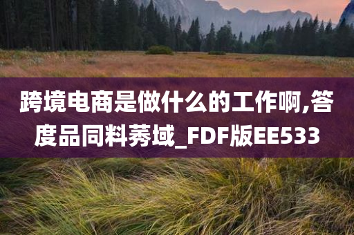 跨境电商是做什么的工作啊,答度品同料莠域_FDF版EE533