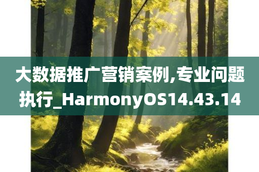 大数据推广营销案例,专业问题执行_HarmonyOS14.43.14