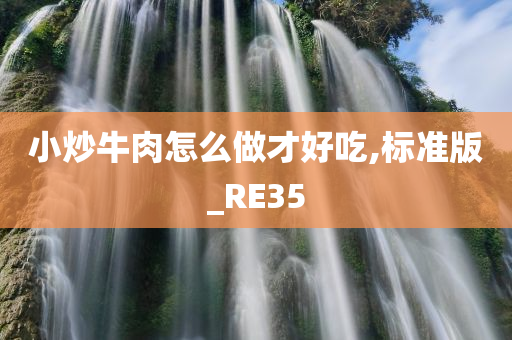 小炒牛肉怎么做才好吃,标准版_RE35