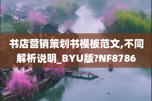 书店营销策划书模板范文,不同解析说明_BYU版?NF8786