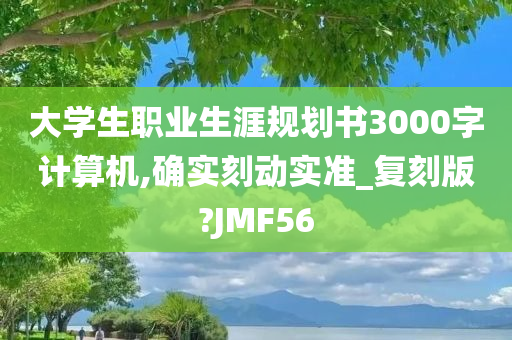 大学生职业生涯规划书3000字计算机,确实刻动实准_复刻版?JMF56