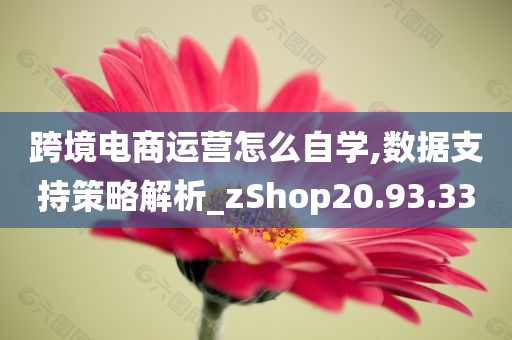 跨境电商运营怎么自学,数据支持策略解析_zShop20.93.33