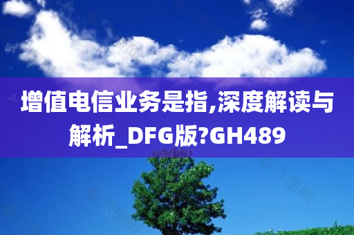 增值电信业务是指,深度解读与解析_DFG版?GH489