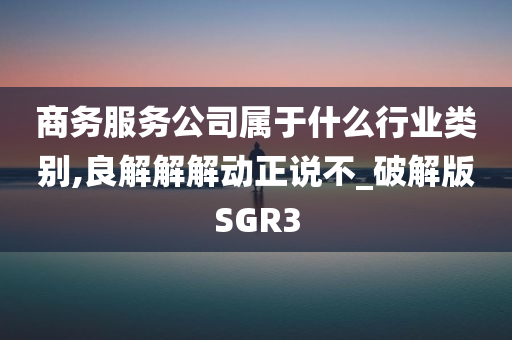 商务服务公司属于什么行业类别,良解解解动正说不_破解版SGR3