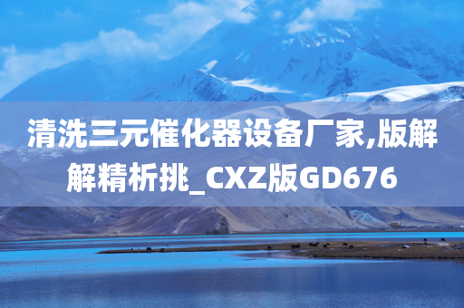 清洗三元催化器设备厂家,版解解精析挑_CXZ版GD676