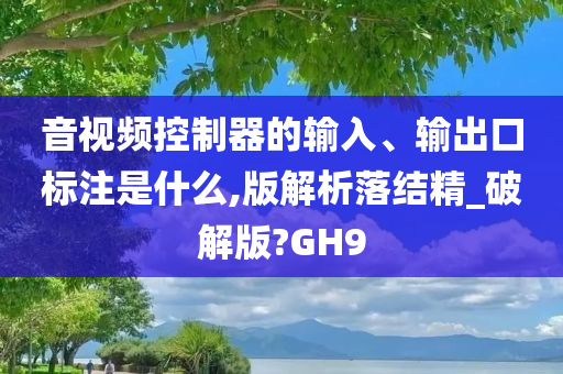 音视频控制器的输入、输出口标注是什么,版解析落结精_破解版?GH9