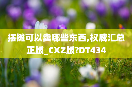 摆摊可以卖哪些东西,权威汇总正版_CXZ版?DT434