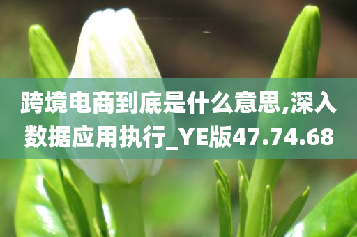 跨境电商到底是什么意思,深入数据应用执行_YE版47.74.68