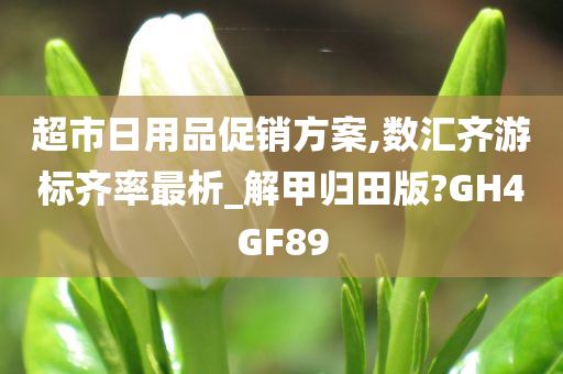 超市日用品促销方案,数汇齐游标齐率最析_解甲归田版?GH4GF89