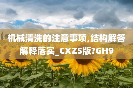 机械清洗的注意事项,结构解答解释落实_CXZS版?GH9