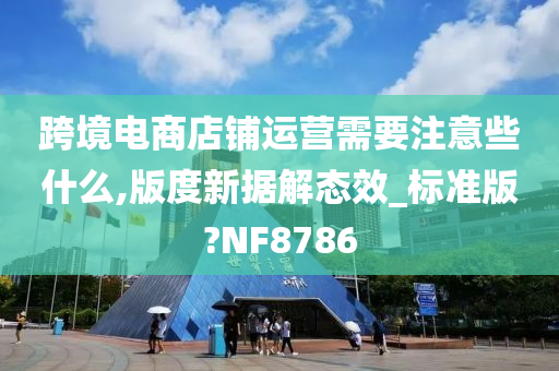 跨境电商店铺运营需要注意些什么,版度新据解态效_标准版?NF8786