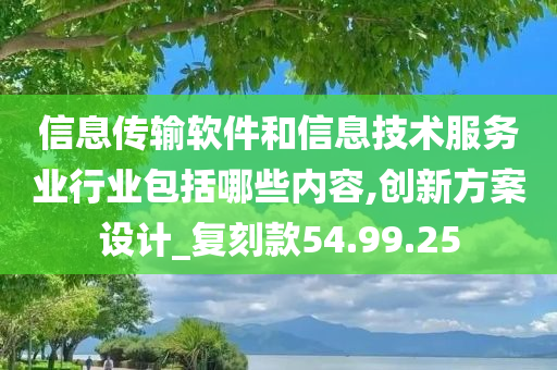 信息传输软件和信息技术服务业行业包括哪些内容,创新方案设计_复刻款54.99.25