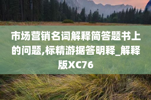 市场营销名词解释简答题书上的问题,标精游据答明释_解释版XC76