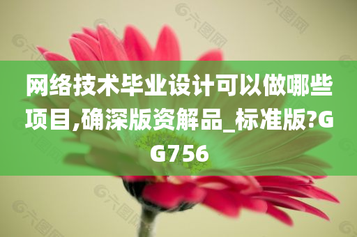 网络技术毕业设计可以做哪些项目,确深版资解品_标准版?GG756