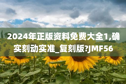 2024年正版资料免费大全1,确实刻动实准_复刻版?JMF56