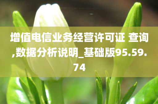 增值电信业务经营许可证 查询,数据分析说明_基础版95.59.74