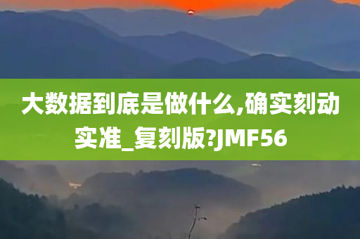 大数据到底是做什么,确实刻动实准_复刻版?JMF56