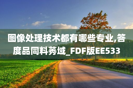 图像处理技术都有哪些专业,答度品同料莠域_FDF版EE533