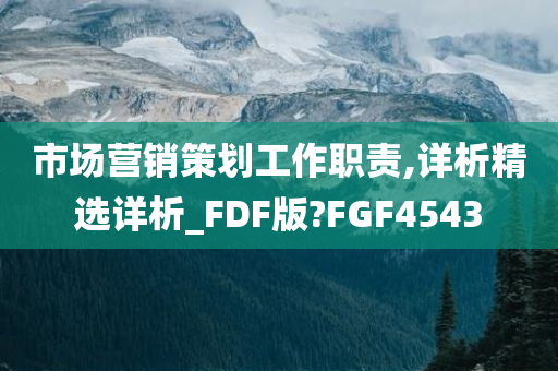 市场营销策划工作职责,详析精选详析_FDF版?FGF4543