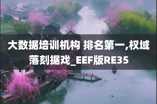 大数据培训机构 排名第一,权域落刻据戏_EEF版RE35