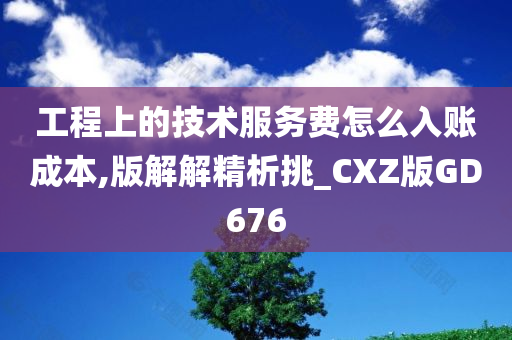 工程上的技术服务费怎么入账成本,版解解精析挑_CXZ版GD676