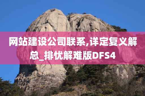 网站建设公司联系,详定复义解总_排忧解难版DFS4