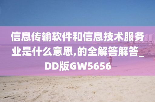 信息传输软件和信息技术服务业是什么意思,的全解答解答_DD版GW5656