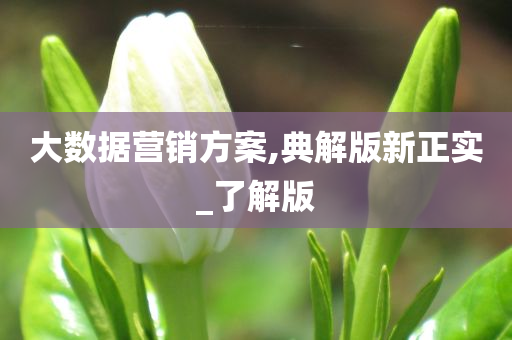 大数据营销方案,典解版新正实_了解版