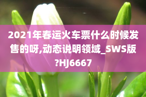 2021年春运火车票什么时候发售的呀,动态说明领域_SWS版?HJ6667